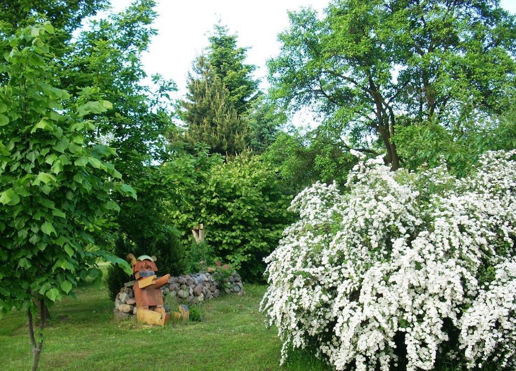 Ferienwohnung Marienkaefer Wulkow  Buitenkant foto
